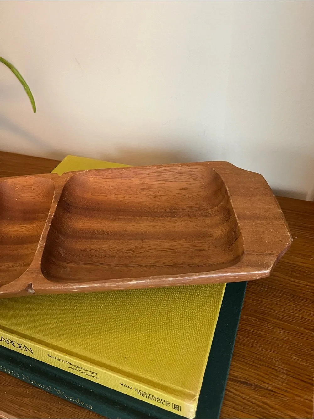 Wooden Divided Serving Tray - Warm Brown